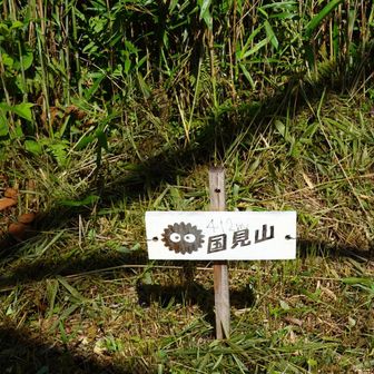 国見山。やはりまっくろくろすけ
