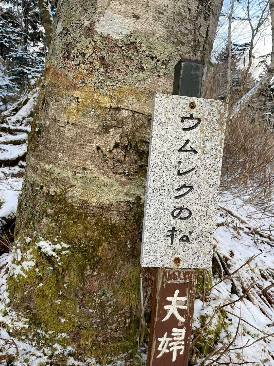 夫婦