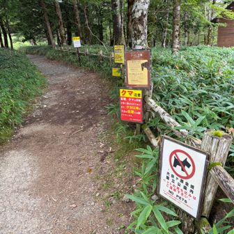 熊注意⚠️