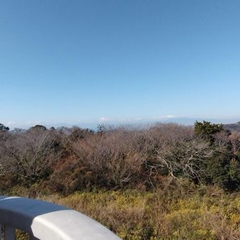 遠いけど、富士山が見えました