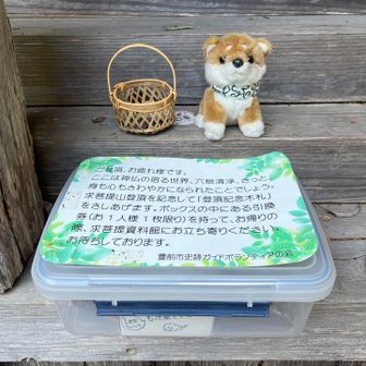 豆柴のぬいぐるみが
かわいい🩷