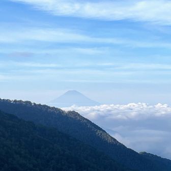 翌朝、久しぶりに富士山見ました🗻