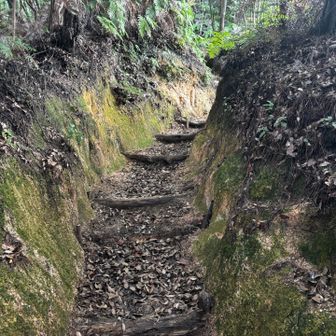 春峰ルートである宝満山の登り口を思わせる切り通し。
結構硬い岩盤なのに見事にくり抜かれています😯