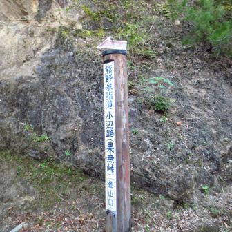 果無山へ