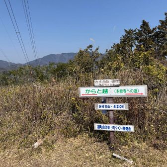 みすぎ山山頂