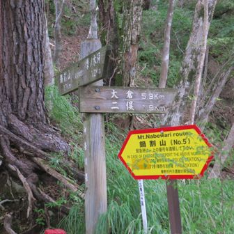 無事に乗り継ぎましたが、まだまだ長そう😨
