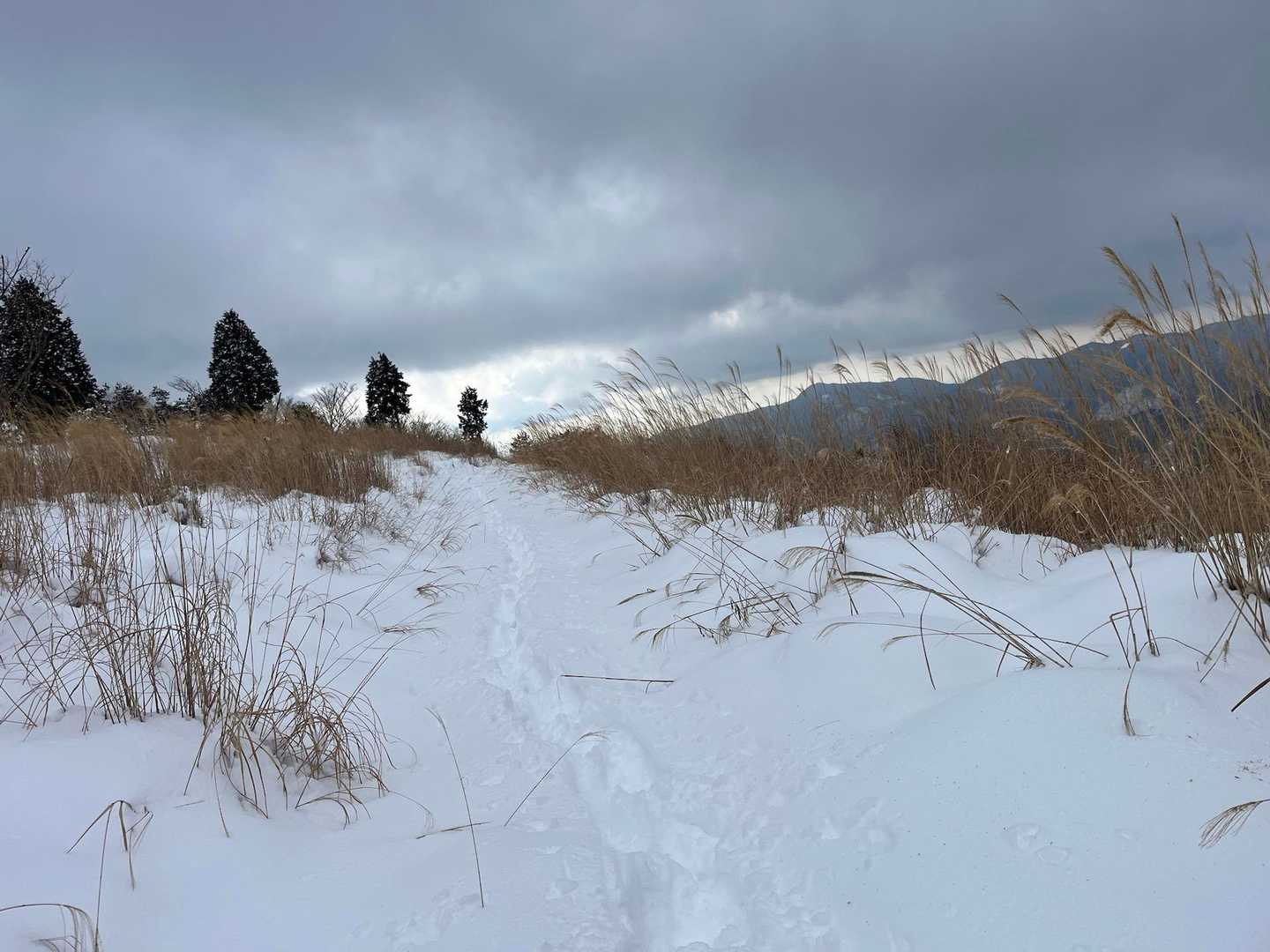 茅場横ルートは踏み跡少ない（おおつのさんのトレースだったみたい）
スノーシュー脱いでいたのでピストンに変更