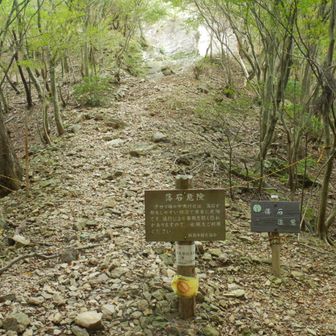 30年前頃何度も登った！
娘５歳の時娘も登った！