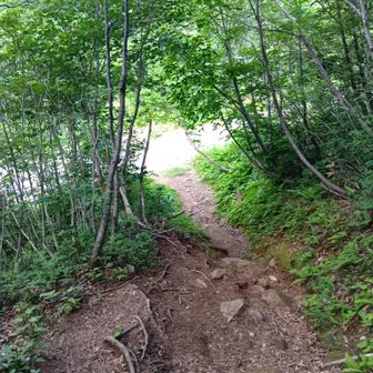 2日目、田尻尾根登山口直前。
掲示のすぐ先に登山口。

■備忘
行程。
初日。白毛門登山口P起点、7:00出発、10:00松ノ木沢ノ頭、11:10白毛門、13:00笠ヶ岳、15:20朝日岳、16:20JP、18:00清水峠白崩避難小屋。(活動11.0時間)
2日目。5:10出発、6:30七ツ小屋山、8:00蓬峠、9:30武能岳、12:10茂倉岳、13:00一ノ倉岳、14:30オキノ耳、14:50トマノ耳、18:00田尻登山口、18:30白毛門登山口P。(活動12.5時間)

※ルートの様子
・もうすっかり夏道。
歩いた残雪は肩ノ広場、一ノ倉岳ー茂倉岳間に少々。

天気。
初日。晴れ。風体感0〜6ｍ/ｓ。日差し強く随分肌が焼けました。
2日目。曇り時々晴れ。風体感0〜4ｍ/ｓ。早朝風強くガス。出発時雨もパラパラ。※2日目荒れる予報でしたが、持ちました。時々晴れるも曇りで歩くのにちょうどよかったです。

ひと。
初日白毛門〜朝日岳で15組20名以上、2日目谷川岳天神尾根などで10組近く、そのうち馬蹄形時計回り3組4名、反時計回り抜きつ抜かれつ1名(あ、抜けなかったです。清水峠でごいっしょ。お話ありがとうございました!)(←クロゴケさんです!)の方々。
※笠ヶ岳ではaranさんにご挨拶(下山後のレポでわかる)。

装備。
17.0kg。ICI石井のザック(BAFFIN)。
雪山装備としてチェーンスパイク(使わず)(肩ノ広場残雪用に準備)。
予備日含め2泊3日分。ツエルト、食事6食。水4.0L持参。

水場。
朝日岳宝川温泉分岐の水場は出てました。
清水峠巡視小屋脇の水場は前回同様出てませんでした。
清水峠群馬側の水場は出てました(これは聞いたお話)。
一ノ倉岳ー茂倉岳間、肩ノ広場の残雪からルート上に雪解け水が流れていました。

改善点メモ
・山に行かないブランクの後のいきなり馬蹄形はNG(身体が山行を忘れているし、体力も落ちているので、事故になりかねない。今回1日の後半フラフラ気味。このため計画は西黒尾根下山でしたが、田尻尾根下山に変更)。
山行のために普段トレーニングするというよりは、山行自体が健康のトレーニングなので、体調に応じ計画に強弱をつけるスタイルで臨みます。