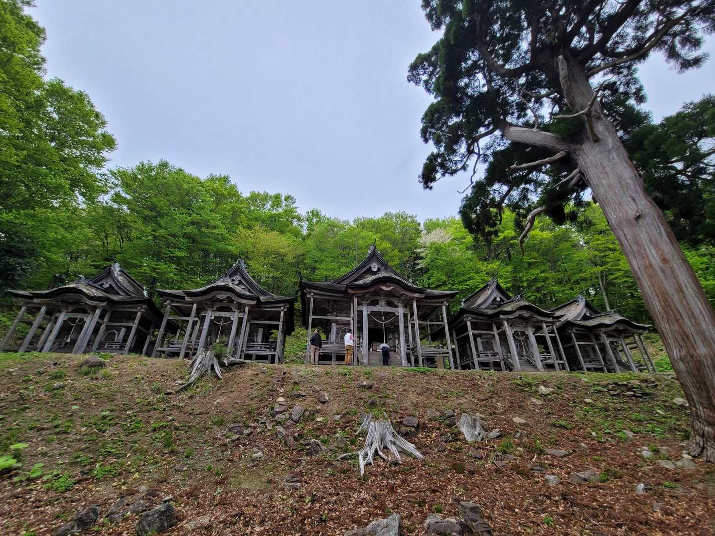 真山-毛無山 縦走コースの写真