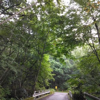 作場平から出発