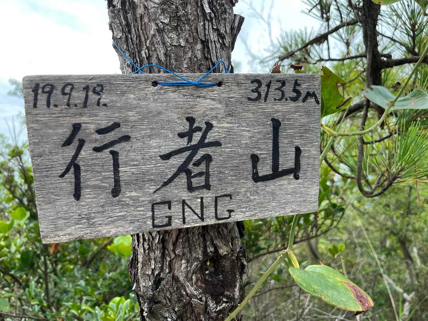 GNG
何の略かな🤔
行者にんにく餃子🧄🥟
違うね😂