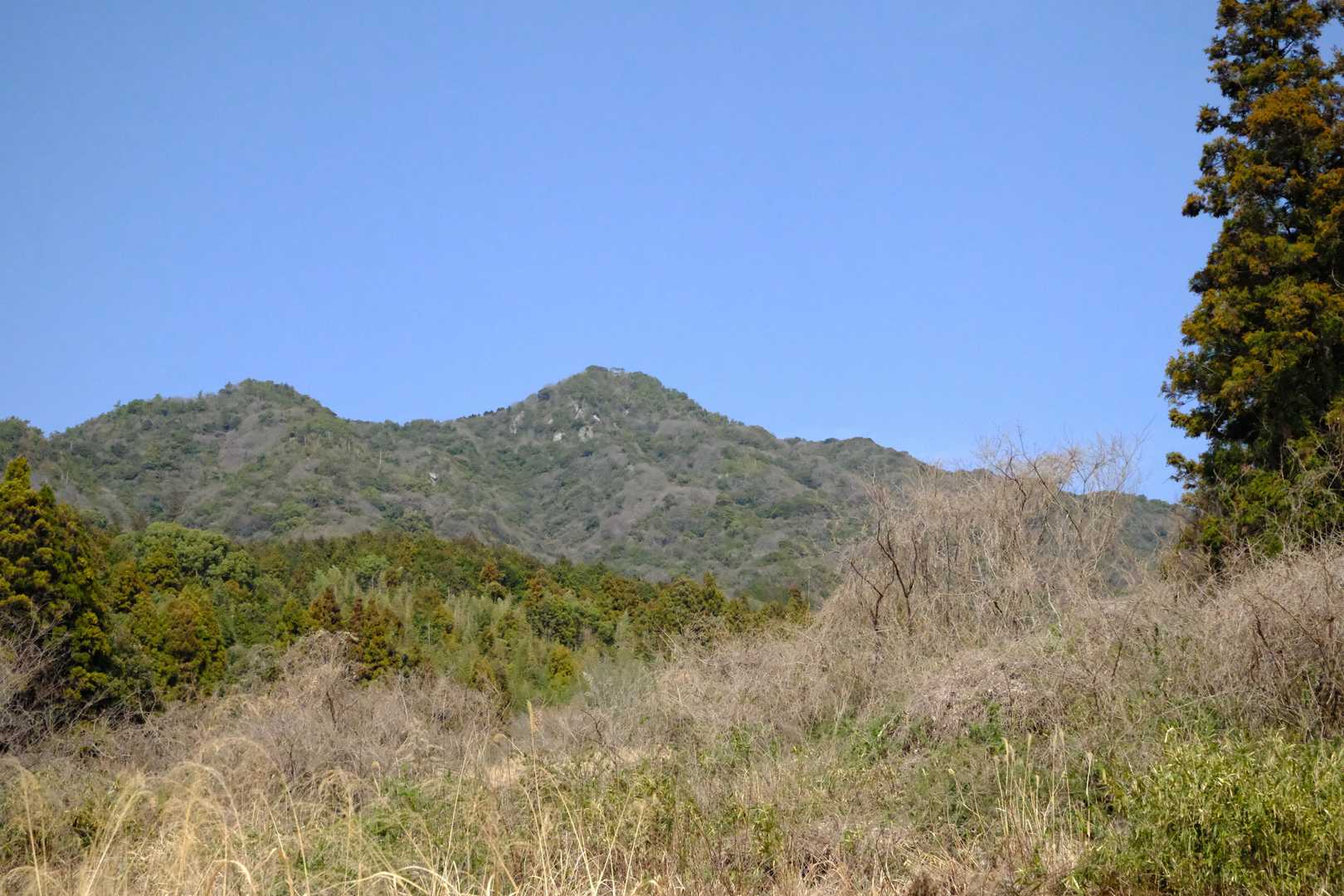 今日登った琴石山