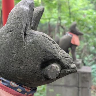 無事下山🏁
*
いつもならここでキャプション閉めるところだがビアハイクはこれから真骨頂🆙