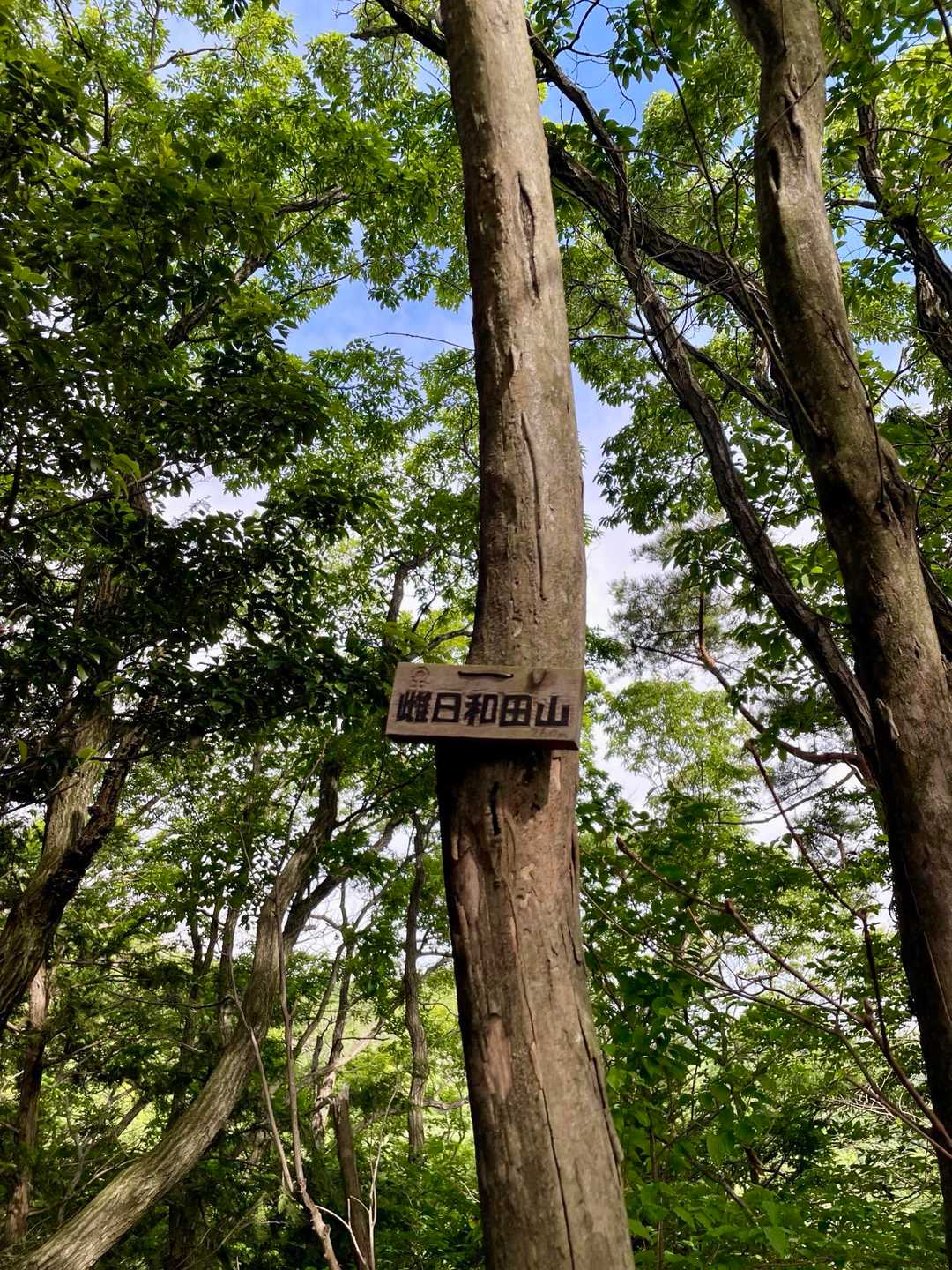 グレーピークの雌日和田山
道がわかりにくかった💦💦