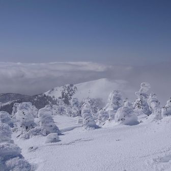 西大巔、今日はラインありませんねー