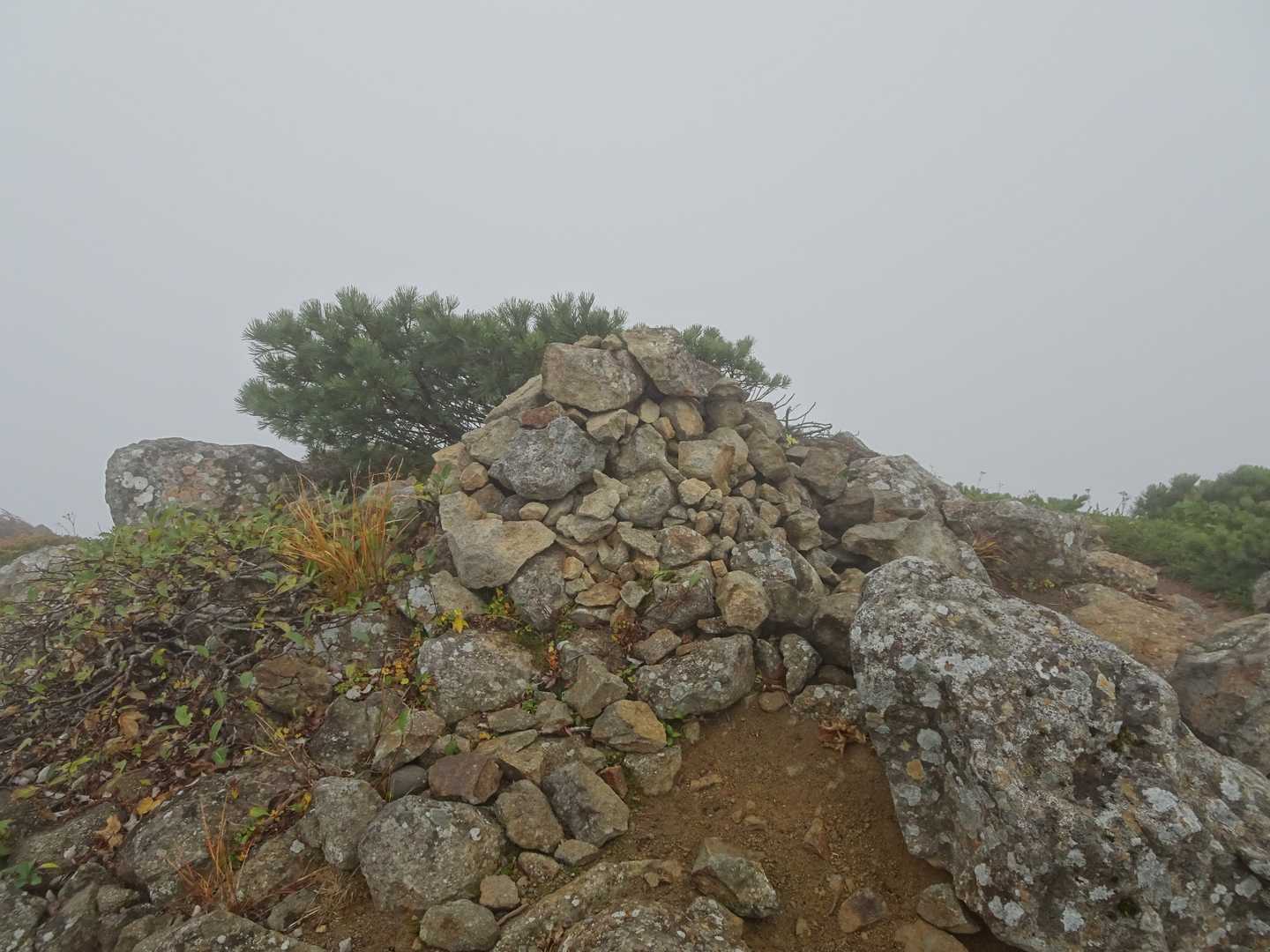 ここが源太ヶ岳のピーク？と思ったら、yamapの地図の山頂はいつの間にか過ぎてました。
yamapの山頂は三角点が基準だから本当のピークとは違うんだよね。