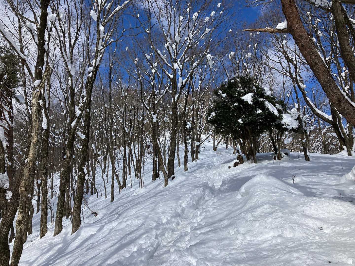 いきなりの急登ですがこの景色は頑張れます😤