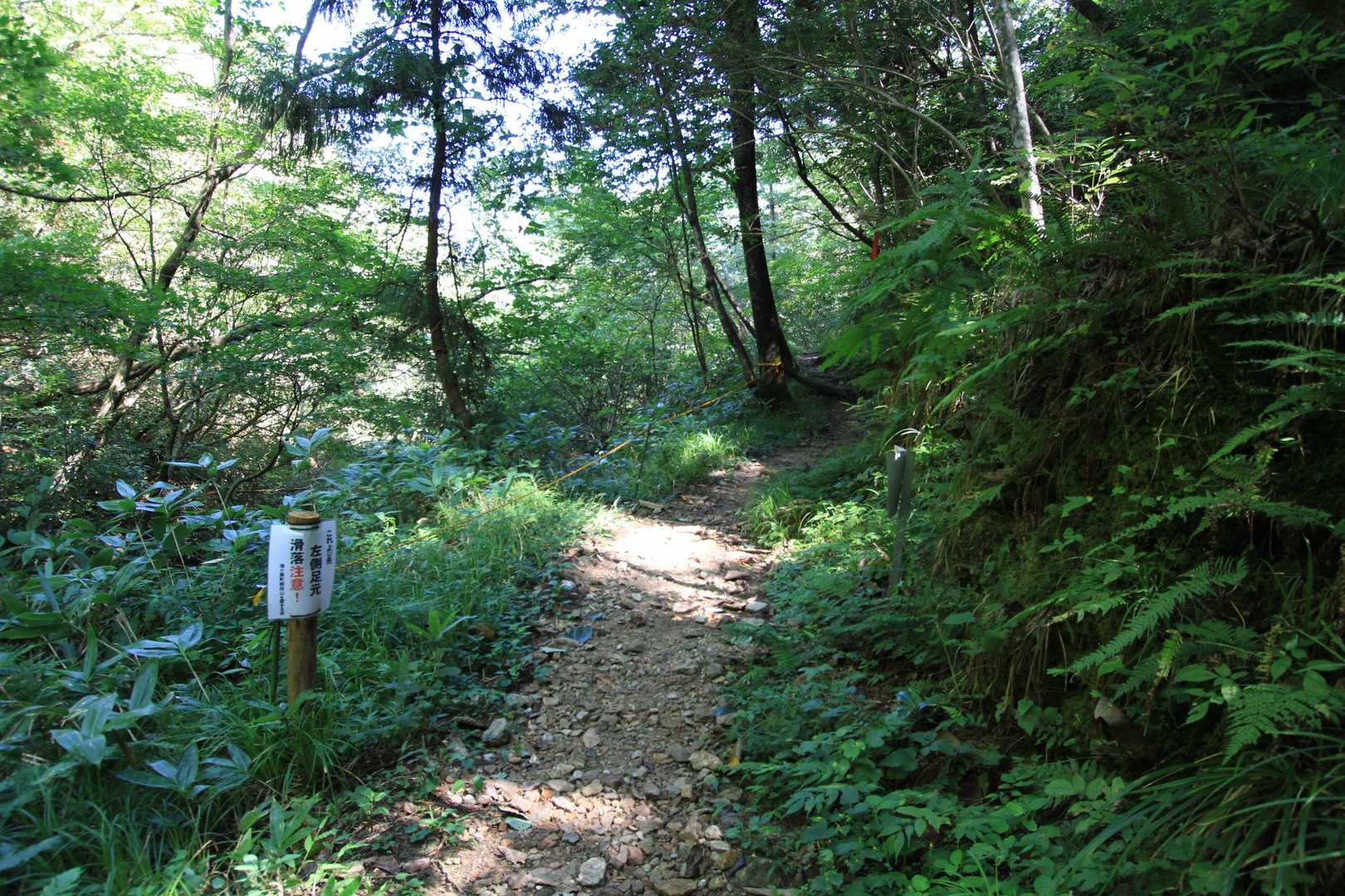 転落遭難現場😰左側崖が深い沢