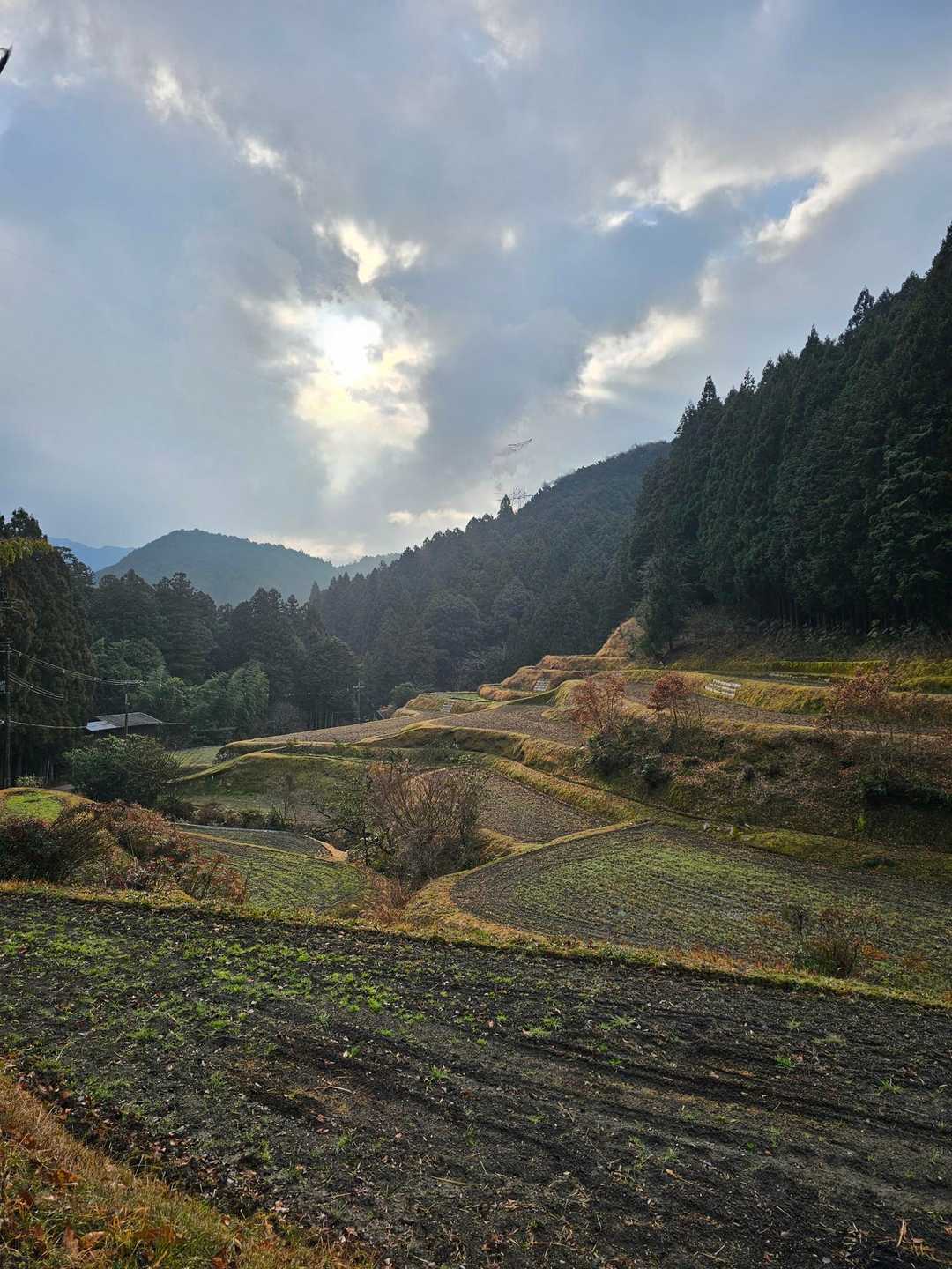 美しい里山の元風景。。
若かりし頃。。田舎にいた頃は。
その美しさに気がつかなかったんだな。