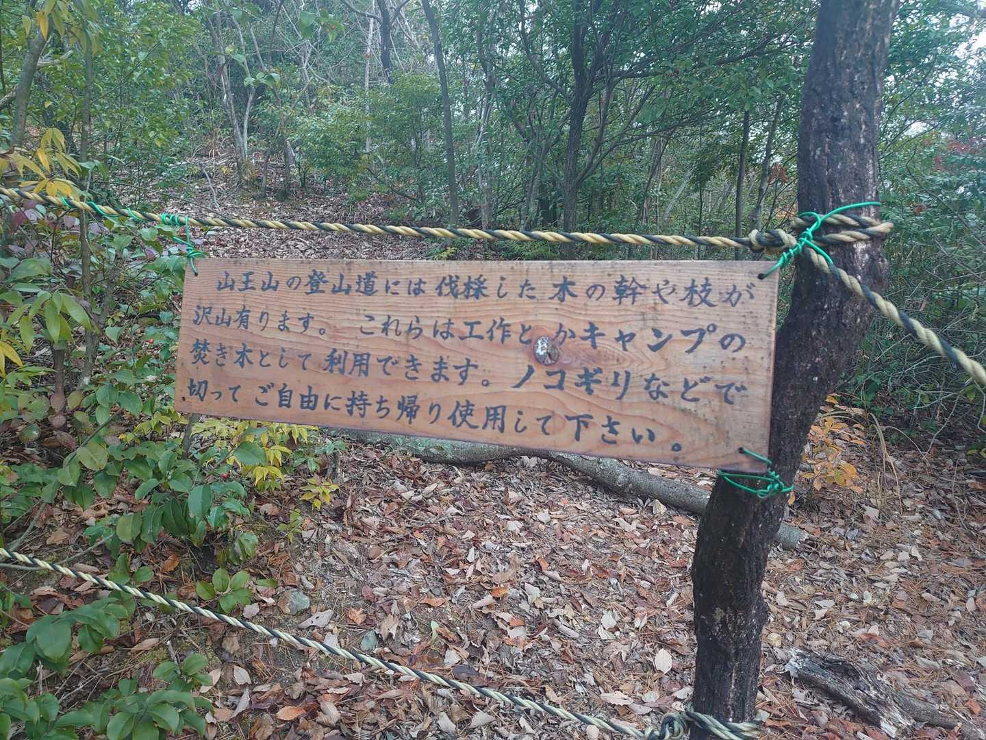 山王山を経由して下山
薄暗いから分かりづらかったけど、いっぱい案内看板あります
伐採されてる木は自由に持ち帰って🙆