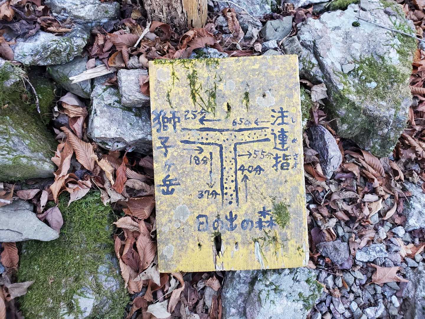 獅子ヶ岳登山道入口-獅子ヶ岳 往復コースの写真