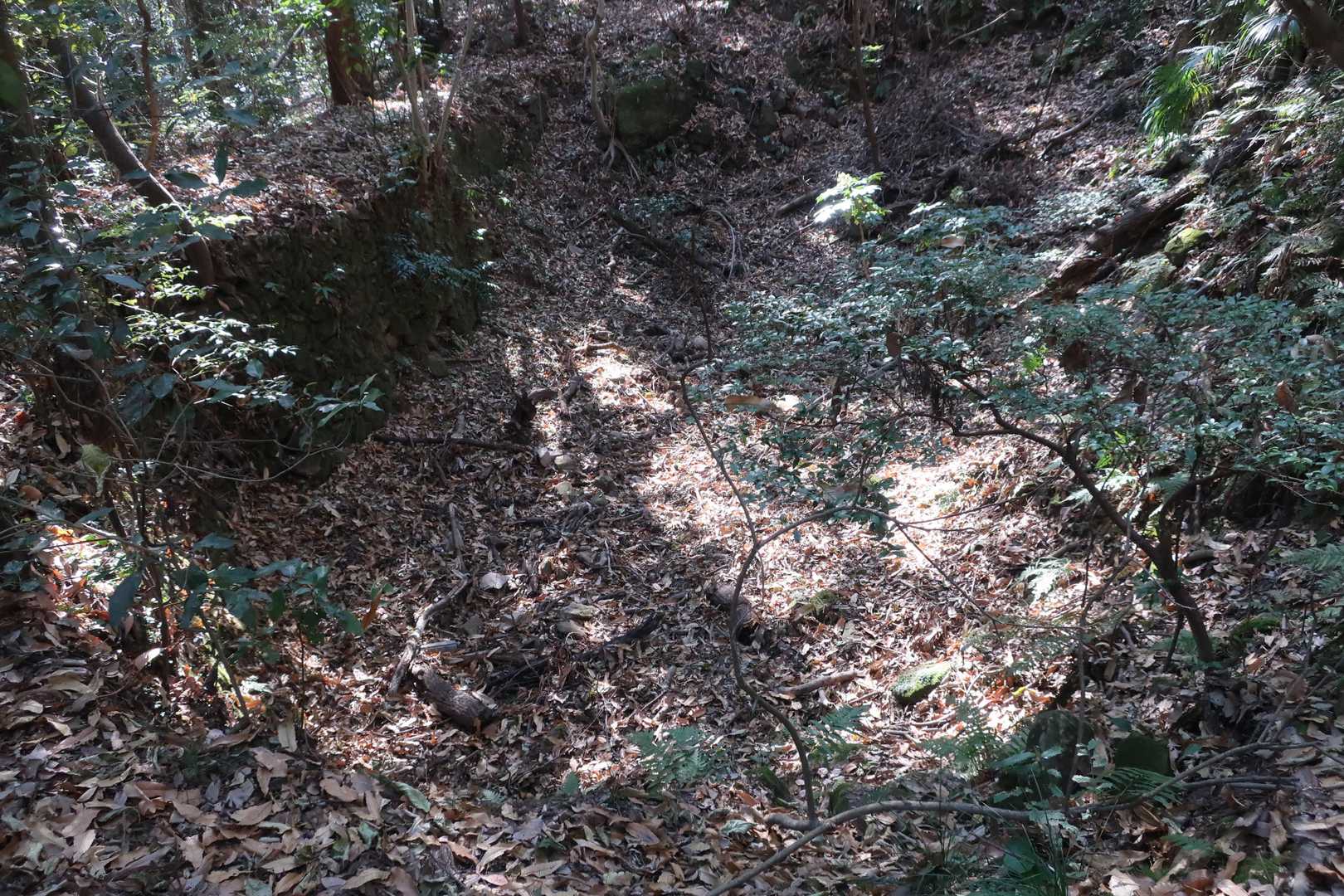 この付近大きな窪みが多くある
石垣で組んであるが溜池の跡だろうか🤔
