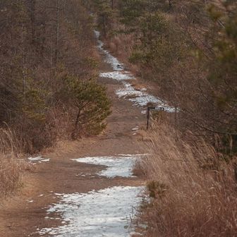 山頂エリアの雪はこんな感じ。