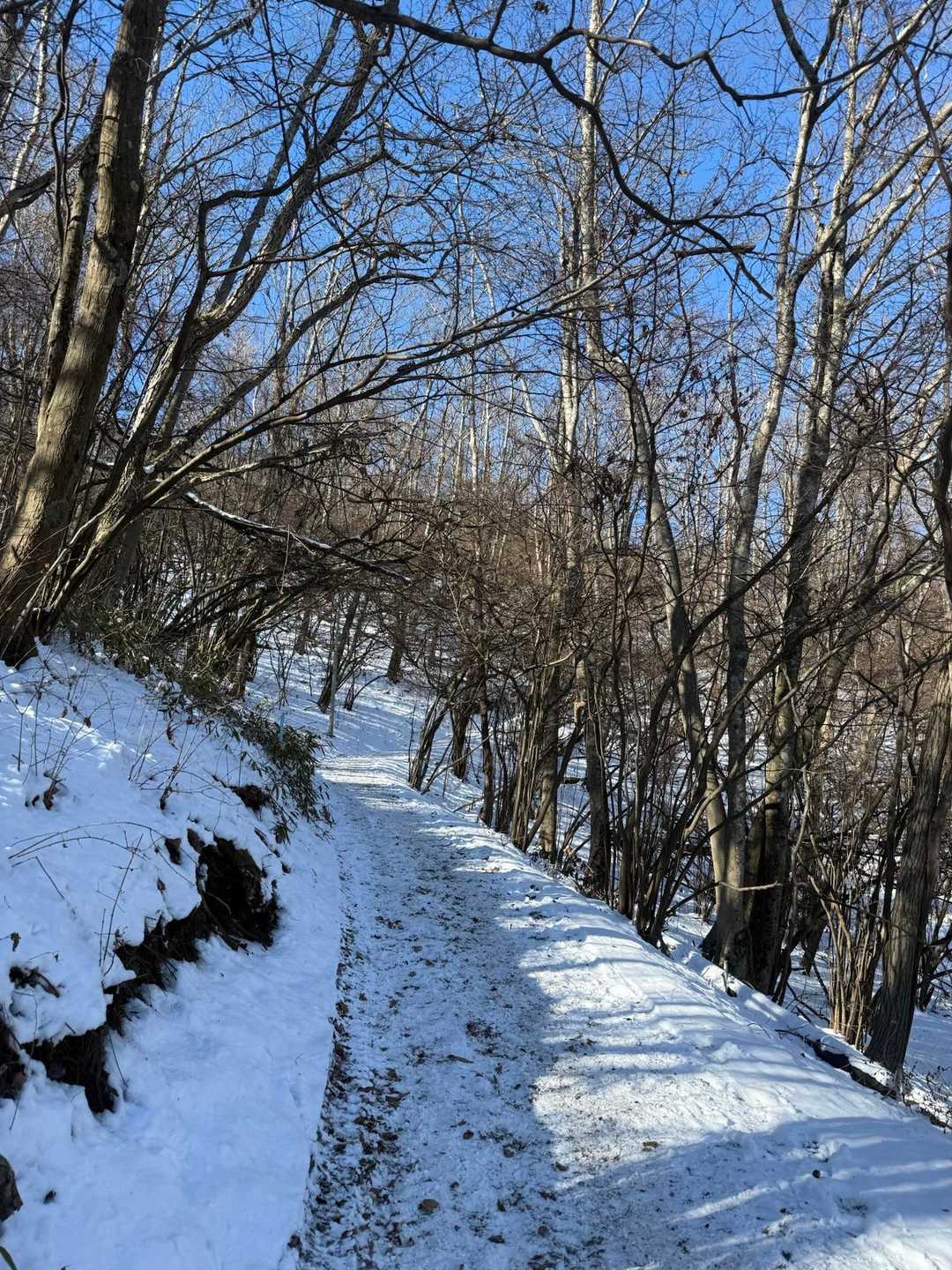 陣馬高原下-陣馬山-景信山-小仏バス停 縦走コースの写真
