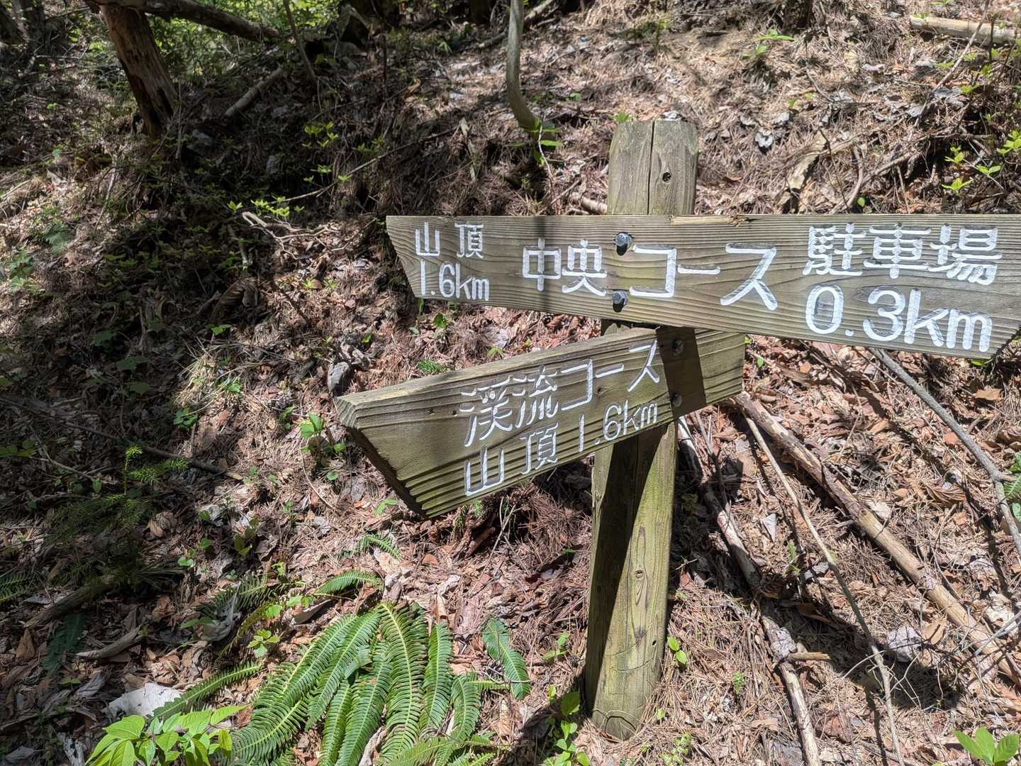 渓流コースで登ります