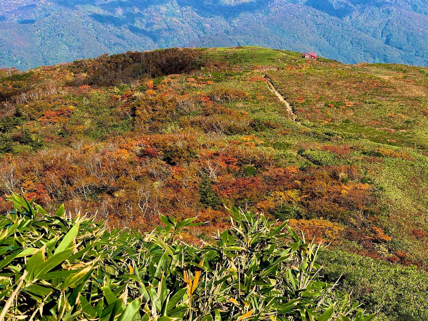 赤兎山登山口-小原峠-苅安山-奥大長谷の頭-大長山-赤兎山 周回コースの写真