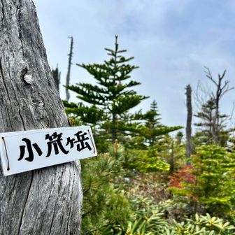小笊ヶ岳⛰️
夜と朝方は晴れてたのにお昼はガスガス…