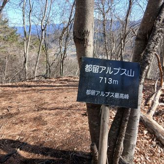 都留アルプス山