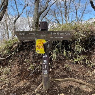 金冷し分岐。山頂まであとちょっと。しかし、ここからトドメを刺されます