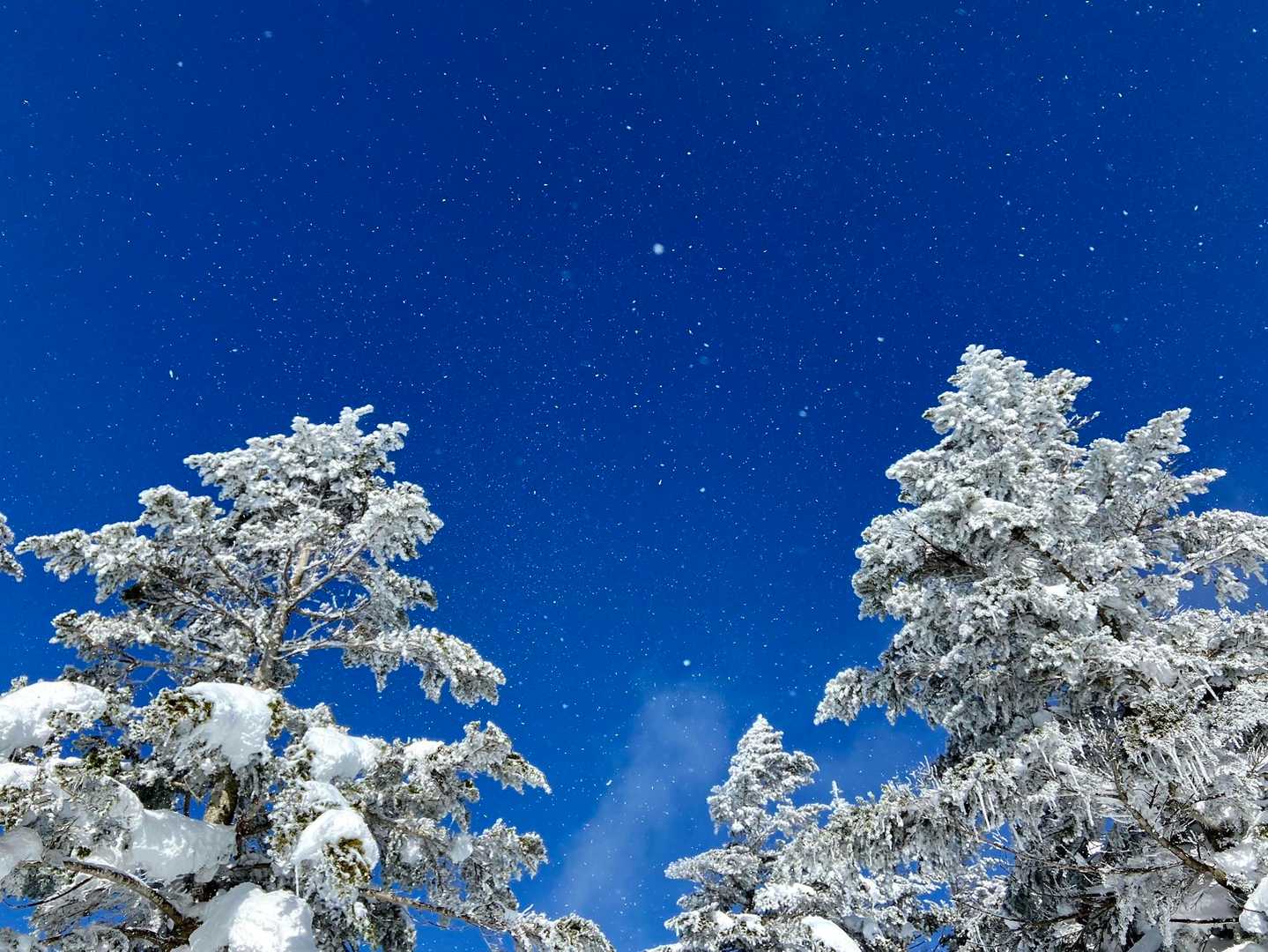 空を見上げて