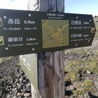 白雲岳に行くか～