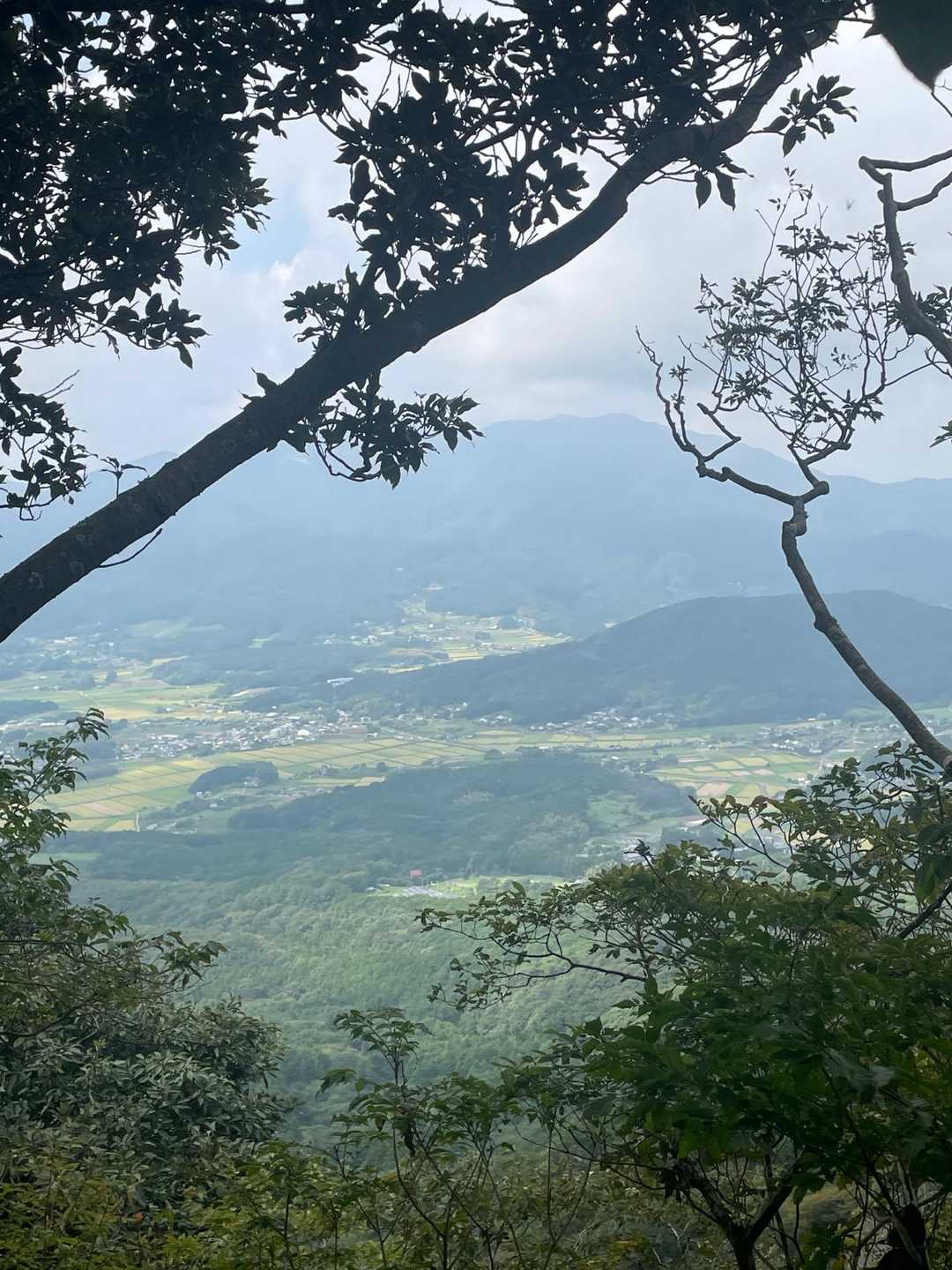 長閑な風景が広がっていて素敵🤩