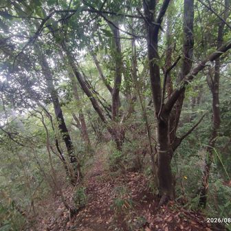 山頂?から見た左の尾根