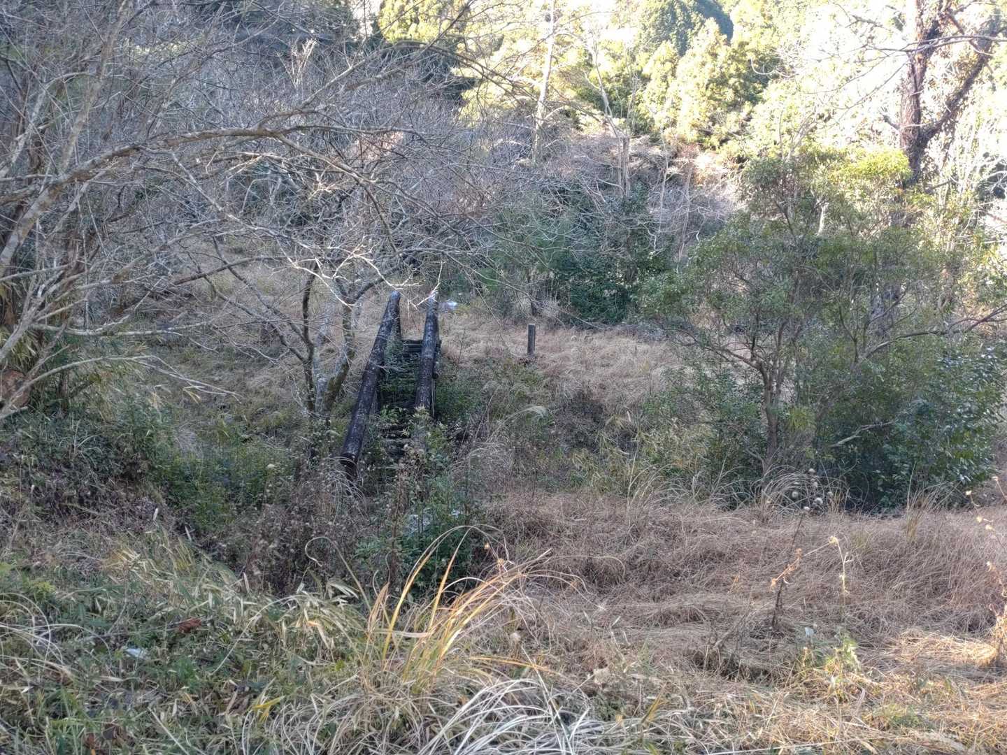 フィールドアスレチックは自然に返りつつある