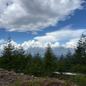 青空になってる