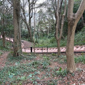 帰りは整備された道から