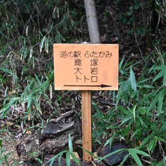 あったー今日も、