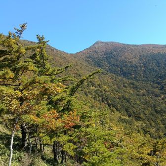 山頂を望む