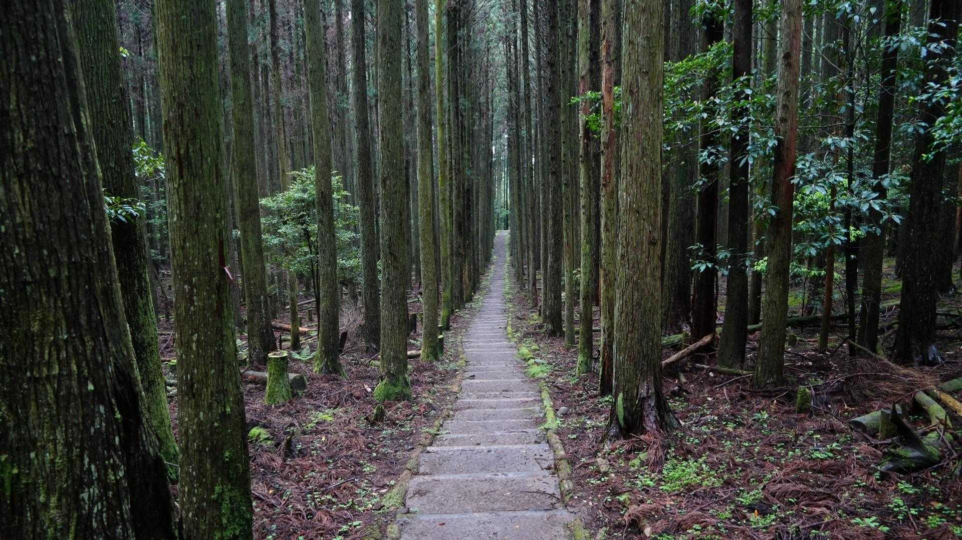 霧が晴れて全貌が見えました