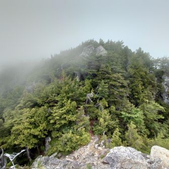 山頂も眺望は期待できませんね　