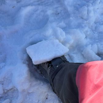 積雪もこの厚さ❄️