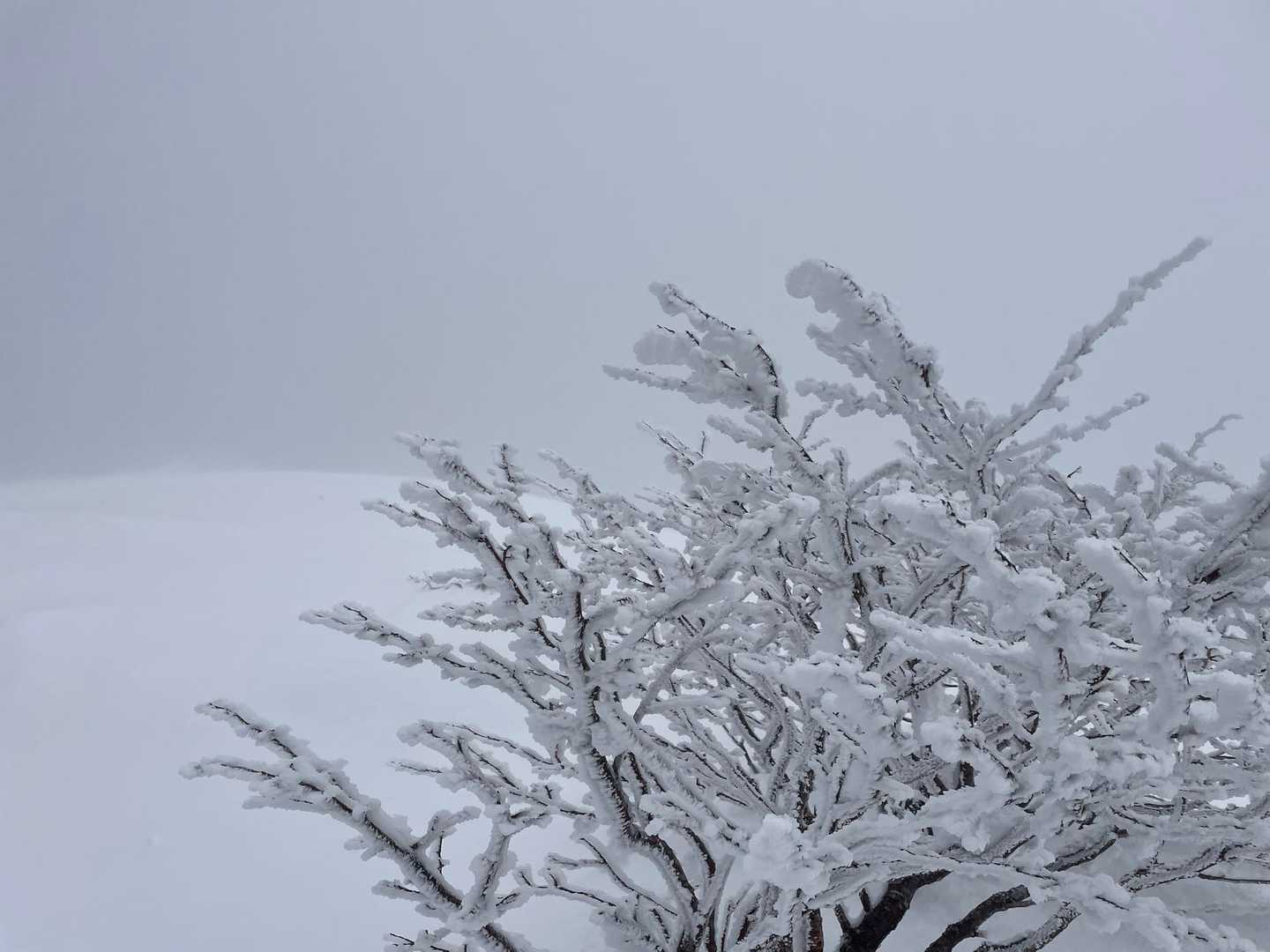 多分山頂