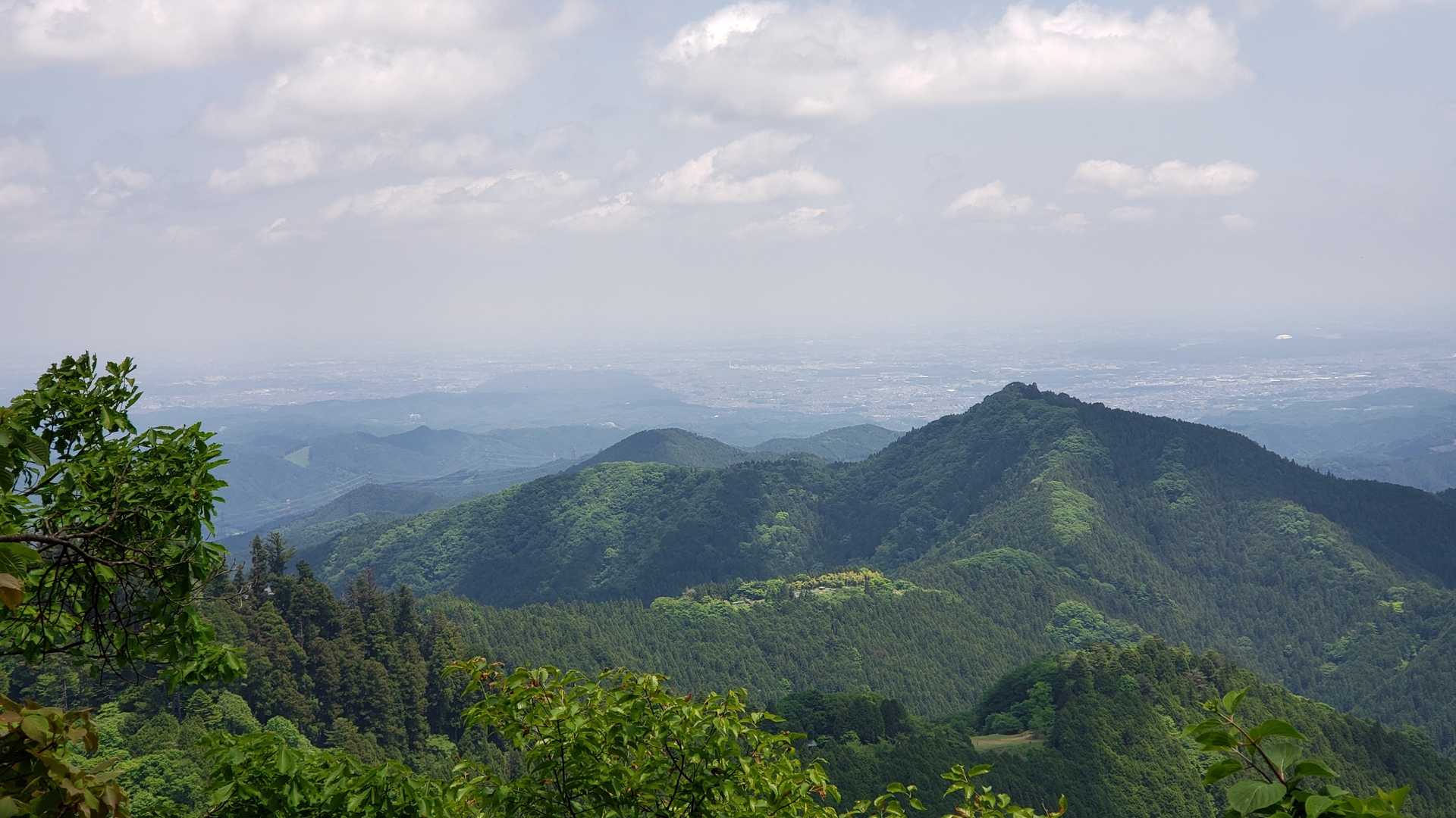 御岳山駅-天狗の腰掛け杉 往復コースの写真