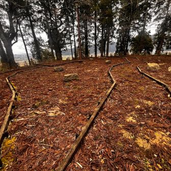 このラインの通りなら
　なかなか個性的な城ですね🏯✨