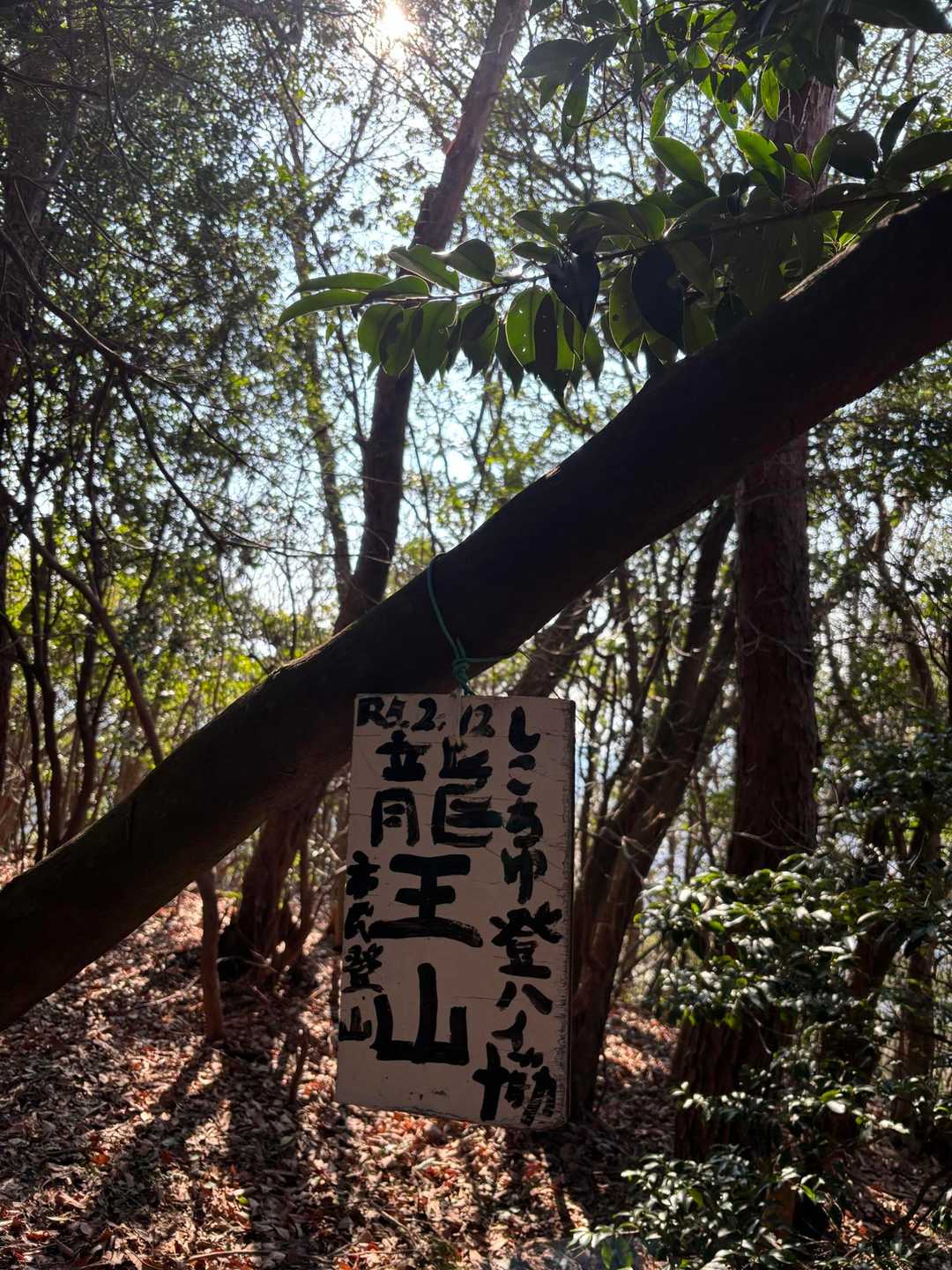 唐谷峠-大谷山-龍王山 往復コースの写真